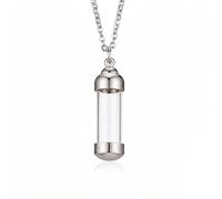 petbye Collier urne pour cendres, chaîne pour cendres, pendentif urne d'animal, en acier inoxydable, fiole argentée, cylindre transparent