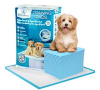PetCellence Alaise pour Chien Lot de 30 - Grande 60x60 cm Ultra Absorbant Tapis Educateur Chien, avec Bandes Adhésives Antidérapantes - Protection à 6 Couches - Alese Jetable pour Chiens et Chats
