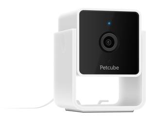Petcube Caméra de surveillance Full HD connectée Cam