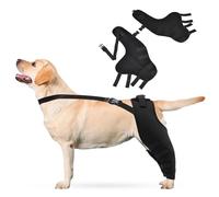 PETCUTE 1 Paire Genouillère pour Chien,Support pour Grands et Petits Chiens Souffrant de LCA, CCL,Genouillères élastiques Antichoc pour Animal de Compagnie,ProtèGe-Coude pour Chien