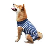 PETCUTE Costume de récupération pour Chien Chats Alternative au Collier de récupération pour Chien Shirt après Chirurgie Combinaisons de récupération de Chien