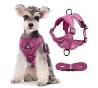 PETCUTE Harnais Chien avec Laisse, Harnais Anti Traction Chiens,Réglable et Respirant,Réfléchissant Harnais pour Grand Chien avec Clip en Métal,Facile à Mettre et à Enlever Rose Rouge M
