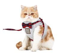 PETCUTE Harnais de Chat Harnais et Laisse pour Chat Laisse Réglable Veste de Style Britannique avec Laisse et Collier Mignon