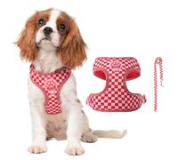 PETCUTE Harnais pour Chien avec Laisse,Harnais Chiot Respirante,Réglable,M
