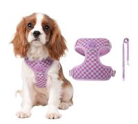 PETCUTE Harnais pour Chien avec Laisse,Harnais Chiot Respirante,Réglable,M