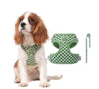 PETCUTE Harnais pour Chien avec Laisse,Harnais Chiot Respirante,Réglable,M