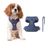 PETCUTE Harnais pour Chien avec Laisse,Harnais Chiot Respirante,Réglable,S
