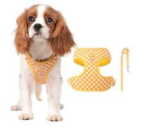 PETCUTE Harnais pour Chien avec Laisse,Harnais Chiot Respirante,Réglable,XL