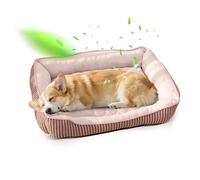 PETCUTE Lit Orthopédique pour Chien de Taille Moyenne,Anti-anxiété,Frais Paniers pour Chiens avec Fond Antidérapant,Lavable Canapé pour Chien Grande Taille,Convient pour l'été(Rose,L)