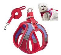 PETCUTE Reglable Harnais pour Chat avec Laisse,Harnais et Laisses pour Chats Respirante avec Bandes Réfléchissantes, Anneau en D,Facile à Contrôler,Gilet de Sécurité Souple pour Chat