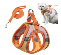 PETCUTE Reglable Harnais pour Chat avec Laisse,Harnais et Laisses pour Chats Respirante avec Bandes Réfléchissantes, Anneau en D,Facile à Contrôler,Gilet de Sécurité Souple pour Chat