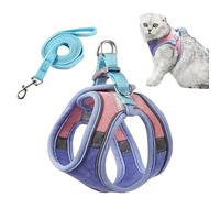 PETCUTE Reglable Harnais pour Chat avec Laisse,Harnais et Laisses pour Chats Respirante avec Bandes Réfléchissantes, Anneau en D,Facile à Contrôler,Gilet de Sécurité Souple pour Chat