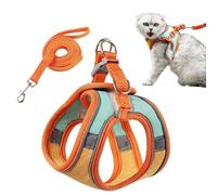 PETCUTE Reglable Harnais pour Chat avec Laisse,Harnais et Laisses pour Chats Respirante avec Bandes Réfléchissantes, Anneau en D,Facile à Contrôler,Gilet de Sécurité Souple pour Chat