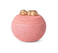 PETCUTE Urne pour Cendres de Chien,Fabriquées en Ciment Portland,Urne pour Animaux de Compagnie,Urnes Funéraires pour Chiens et Chats,Boîte Souvenir Commémorative(pour Chien,Rose)