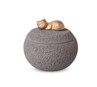 PETCUTE Urne pour Cendres de Chien,Fabriquées en Ciment Portland,Urne pour Animaux de Compagnie,Urnes Funéraires pour Chiens et Chats,Boîte Souvenir Commémorative(pour Chat,Gris)