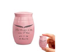 PETCUTE Urnes Commémoratives pour Animaux de Compagnie,Urne Funéraire pour Cendres de Chien,Mini Urne en Aluminium pour Cendres de Chien ou de Chat,Cadeau Commémoratif pour Animaux