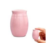 PETCUTE Urnes Commémoratives pour Animaux de Compagnie,Urne Funéraire pour Cendres de Chien,Mini Urne en Aluminium pour Cendres de Chien ou de Chat,Cadeau Commémoratif pour Animaux