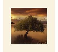 Pete Seaward (New Zealand, South Island 30 x 30 cm montée d'impression