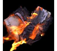 Peter Alexander Jobson - Burn The Ration Books Of Love [VINYL]