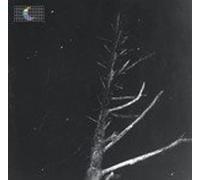Peter Broderick - (Couleurs De La Nuit) Satellite 12 Pouces Vinyle