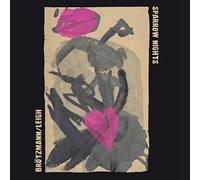 Peter Brotzmann & Heathe - Sparrow Nights