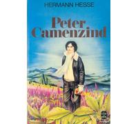Peter Camenzind - Récit