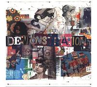 Peter Doherty - Hamburg Demonstration