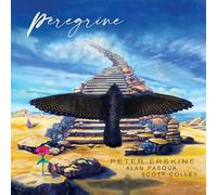 PETER ERSKINE & ALAN PASQUA & SCOTT COLLEY - PEREGRINE (BLACK ULTRA VINYL 140G)