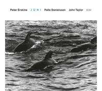 Peter Erskine Trio Juni (CD) Album