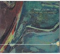 Peter Fulda - Little Box of Sea [Import]