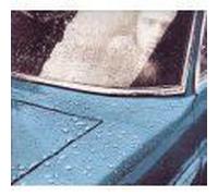 Gabriel, Peter - Peter Gabriel 1 Limitiert [Import]