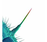 Various Artists – And I'll Scratch Yours – CD – Realworld