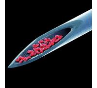 Peter Gabriel - Live Blood [Import allemand]