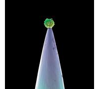 Peter Gabriel – New Blood – CD – Realworld