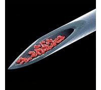 Peter Gabriel - New Blood Live in London