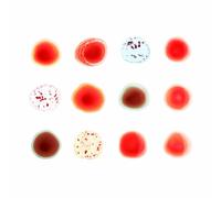 Peter Gabriel – Scratch My Back And I'll Scratch Yours – Coffret CD – Édition Deluxe