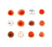 Peter Gabriel – Scratch My Back And I'll Scratch Yours – Coffret CD – Édition Deluxe
