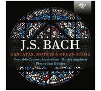 Peter-Jan Belder - Cantatas, Motets & Organ [Compact Discs]