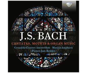 Peter-Jan Belder - Cantatas, Motets & Organ [Compact Discs]