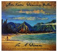 Peter Kater - In a Dream