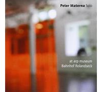 Peter Materna - Solo at ARP Museum (2011)