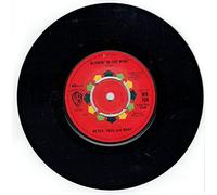 Peter Paul & Mary - Blowin' In The Wind