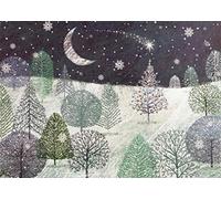 Peter Pauper Press A Midnight Clear Deluxe Boxed Holiday Cards