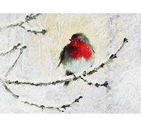 Peter Pauper Press English Robin in Winter Deluxe Boxed Holiday Cards: Christmas Cards, Greeting Cards