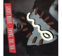 Peter Viskinde - Born Lucky