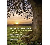 Peter Wohlleben Das geheime Leben der Bäume: Was sie fühlen, wie sie kom (Relié)