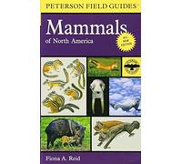 Peterson Field Guide To Mammals Of North America