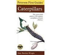 Peterson First Guide to Caterpillars of North America