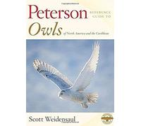 Peterson Reference Guide To Owls Of North America And The Caribbean
