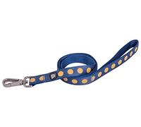 Petface Ensemble Ocra Bold Spot Laisse pour Chien, Medium